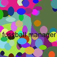 fussball manager 2007 game fix